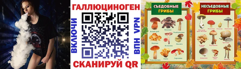 Купить где Кострома Галлюциногенные грибы Psilocybine cubensis